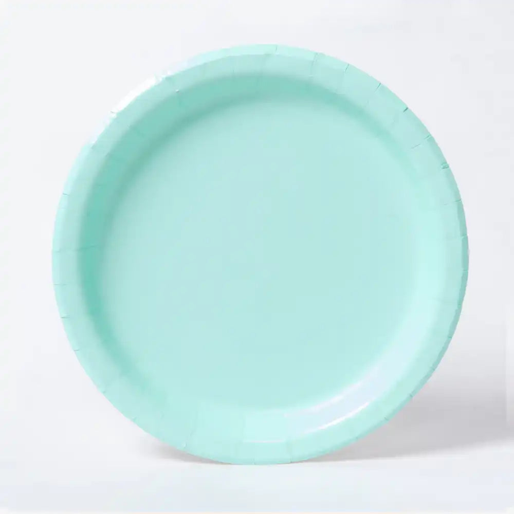 Paper Party Plates Mint (x8) Plain Colour Tableware
