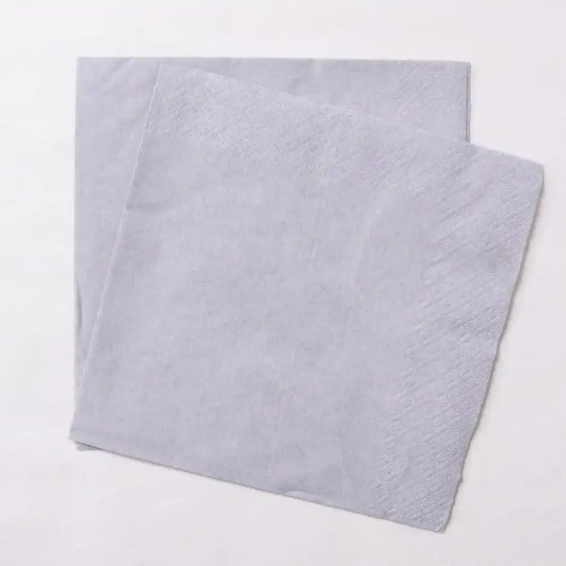 Paper Party Napkins Silver (x20) General Party