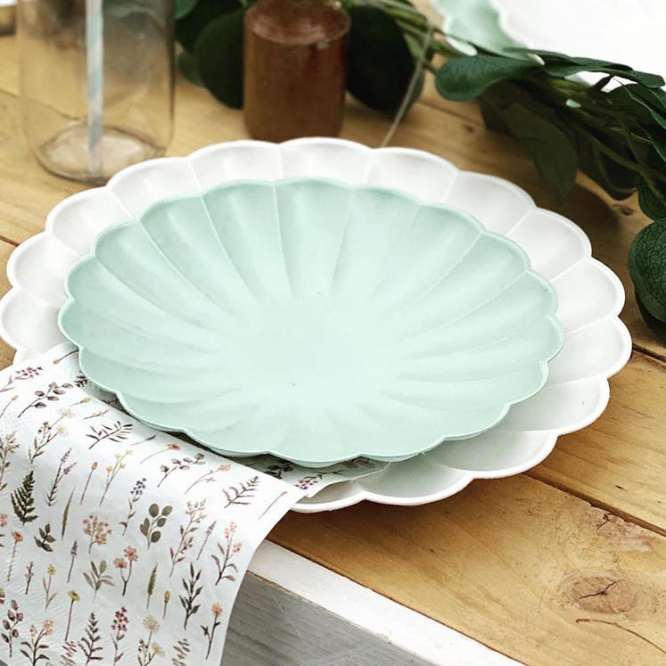 Small Multicolour Compostable Scalloped Party Plates (x8) General Party