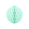 Honeycomb Paper Ball - Mint (20cm) Party Pieces