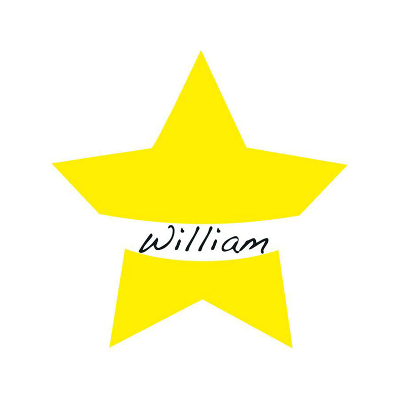 Party Name Stickers Star (x10)